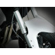Benelli TNT300