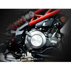 Benelli TNT300