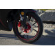 VIPER V250-R1 2024