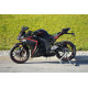 VIPER V250-R1 2024