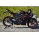 VIPER V250-R1 2024