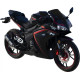 VIPER V250-R1 2024