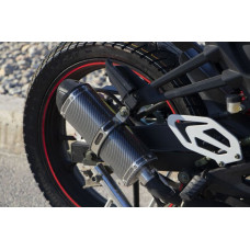 VIPER V250-R1 2024