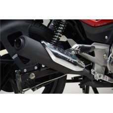 Bajaj Pulsar 150 DTS-i (Індія)