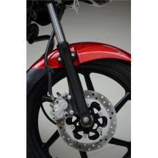 Bajaj Pulsar 150 DTS-i (Індія)