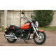 SKYBIKE TC-250