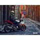 Benelli 302R
