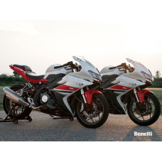 Benelli 302R