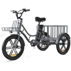 Електровелосипед триколісний ELEKGO EGO03 20" 250W 48V 18Ah 