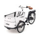 Електровелосипед триколісний Babboe Curve-E Disc 26" 250W 450Wh (2024)