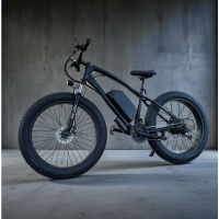 Електровелосипед VOLTO Storm 1000W 48V 18Ah (2024)