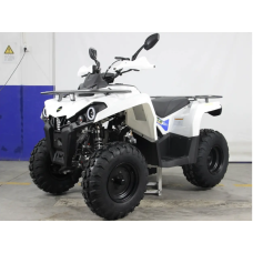 Квадроцикл HAMER 200 L