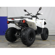 Квадроцикл HAMER 200 L